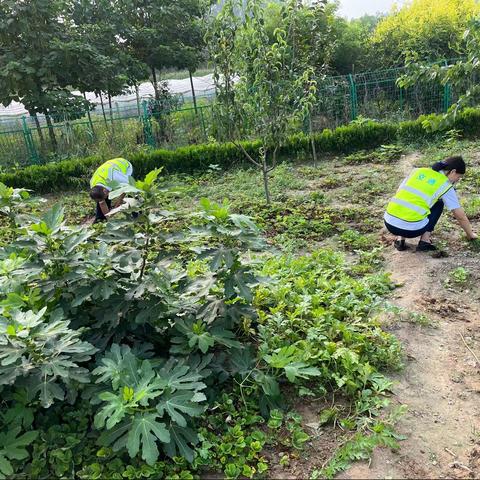 高码头收费站 —— 盛夏的收获