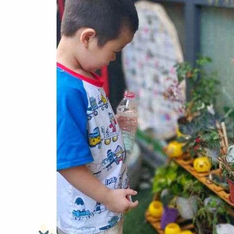 华威托育中心梨子班第二十一周精彩瞬间分享