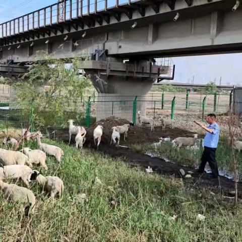 加强汛期隐患排查，筑牢铁路安全防线