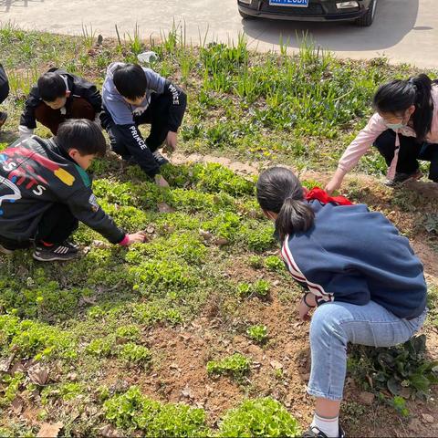 【清廉学校建设】我的学校好时光