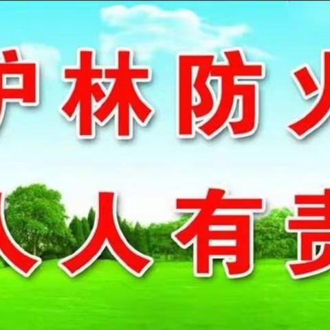 厚镇人民政府联合清峪国有林场，秦岭生态环境保护局流峪区域站开展森林防火集中宣传暨秦岭生态环境保护活动