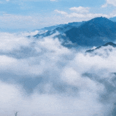 蓝田县厚镇人民政府开展秦岭生态环境保护宣传周专题活动！