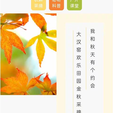 金秋采摘劳动实践 ｜快来与新世纪一起捕捉秋天的快乐吧