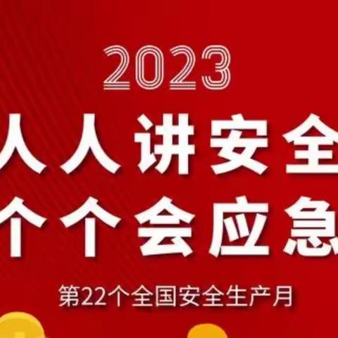 青塔乡陈王庄小学安全生产月活动