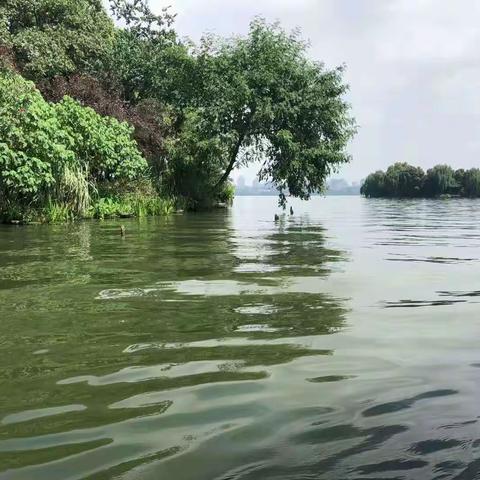 东盛小学五年五班《快乐读书会》第一百九十期