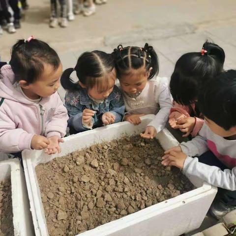 谷雨百谷，润物无声------实验幼儿园谷雨主题活动