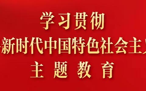 【主题教育进行时】北京车队T48二组党支部