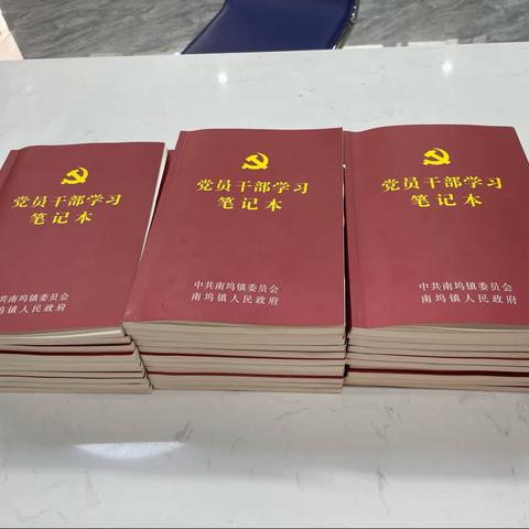 凝聚思想共识，汲取奋进力量 ——南坞镇扎实开展第二批主题教育