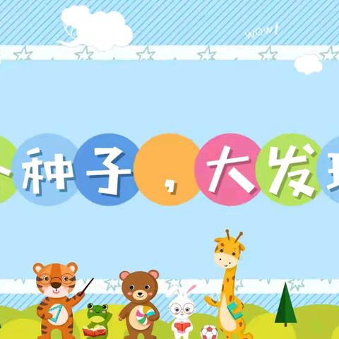 军幼班本主题课程——中三班《小种子，大发现》一