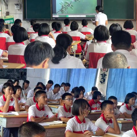 习作教学助成长，教研共话心声——教研活动