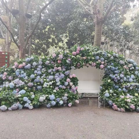 兄弟姐妹结伴天目湖一日游2024.03.25