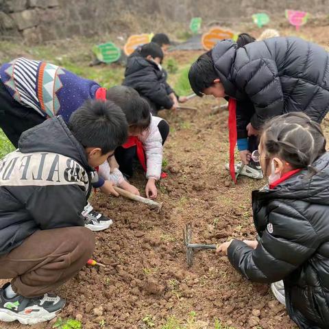 播下种子，洒下希望—302班春耕记