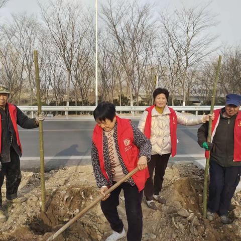 【新文明实践站 铜山在行动】付庄村开展植树造林党员志愿活动