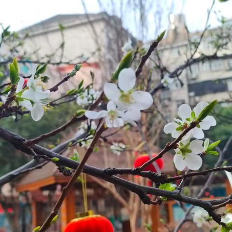 阳光课间 促进西马学生阳光运动