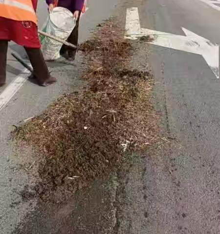 路域环境整治之公路养护篇