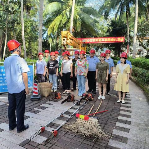 海口人民公园管理处开展防风防汛树木修剪应急演练