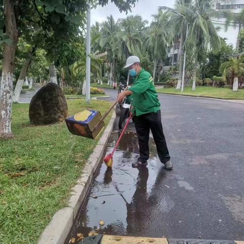 海口人民公园管理处持续做好基孔肯雅热蚊媒防控消杀工作日报（8月16日）