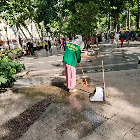 海口人民公园管理处持续做好基孔肯雅热蚊媒防控消杀工作日报（8月19日）