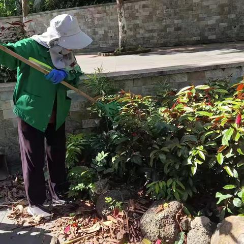 海口人民公园管理处持续做好基孔肯雅热蚊媒防控消杀工作日报（8月21日）