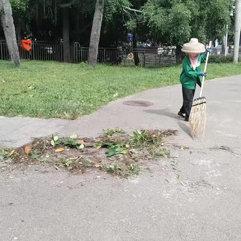 海口人民公园管理处持续做好基孔肯雅热蚊媒防控消杀工作日报（8月22日）