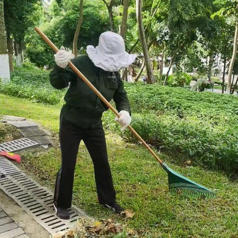 海口人民公园管理处持续做好基孔肯雅热蚊媒防控消杀工作日报（8月26日）