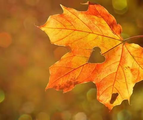 【四强能力作风建设年】“幼”见秋分，走进秋天——永宁县望远第三幼儿园秋分节气主题教育活动