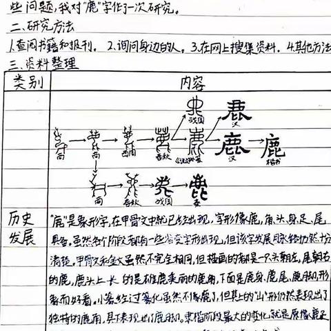 《遨游汉字王国》研究报告展示篇