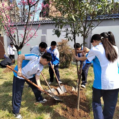 植一抹新绿 树美好未来 ——西安市第三十一中学植树节活动