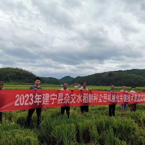 建宁县开展杂交水稻制种父母本同步机插试验示范项目测产验收