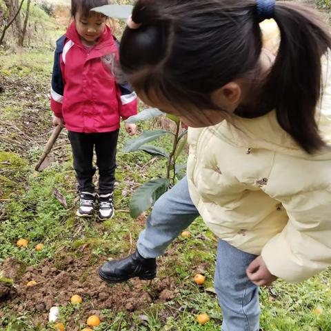 3.12植树节      来凤县第二实验小学         202班           田佳萱