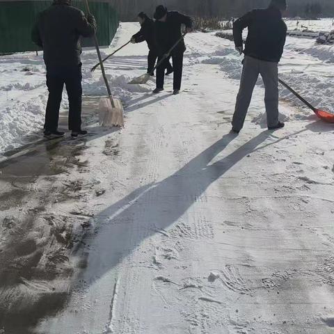 组织村民除雪 保障出行安全