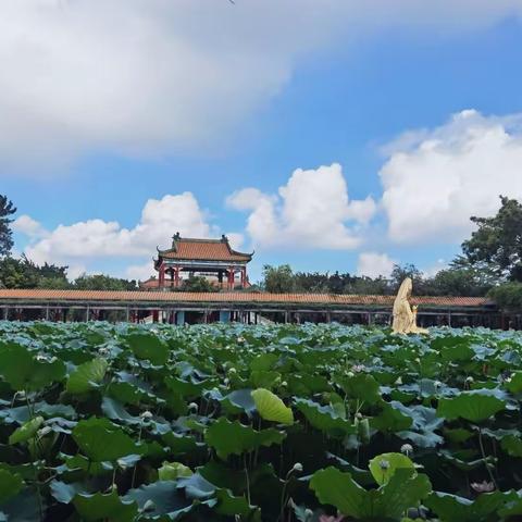 这是个需要自律的时代