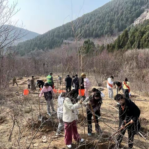 春染佛慧山，绿动泉城心 —2025年济南市林场佛慧山东南入口植树节活动
