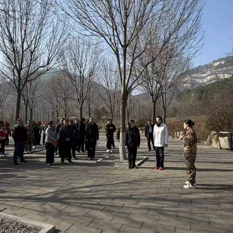 春风拂绿佛慧山，全民植树正当时