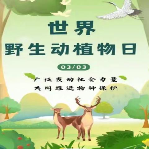 烟花鞭炮禁燃限放，生态平衡你我共护— —巷子口百姓林长办、林小青分队元宵节烟花鞭炮禁燃限放、保护野生动植物宣传