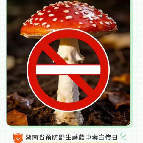 巷子口百姓林长办、林小青分队开展预防野生蘑菇中毒宣传