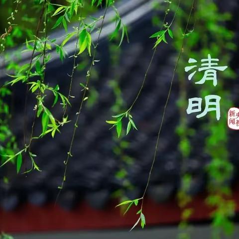 小豆豆——春暖花开忆清明