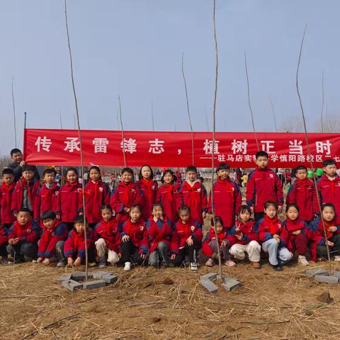 “传承雷锋志，植树正当时”——驻马店实验小学慎阳路校区二（七）中队植树节主题活动
