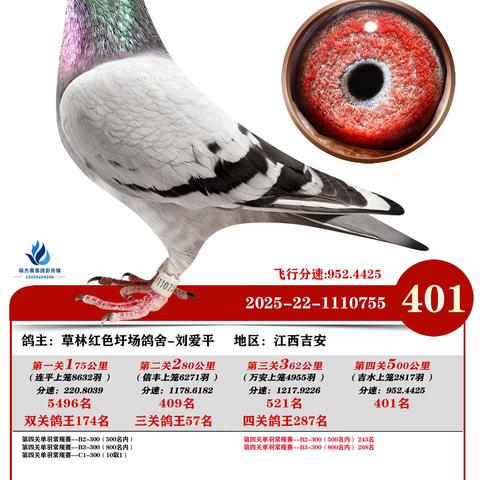 广州浩羽（黄埔）公棚第十一届2025年秋季决赛401~500名