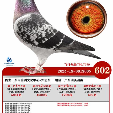 广州浩羽（黄埔）公棚第十一届2025年秋季决赛602~702名