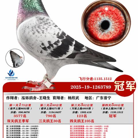 广州浩羽（黄埔）公棚第十一届2025年秋季决赛冠军~100名