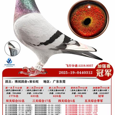 广州浩羽（黄埔）公棚第十一届2025年秋季加站赛冠军~50名