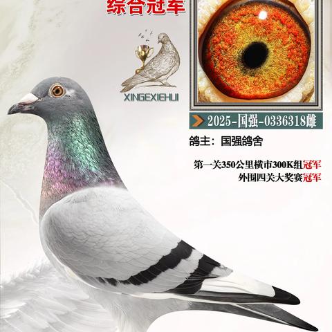 广州市白云区信鸽协会2025年四关名家争霸赛秋季，冬季获奖鸽