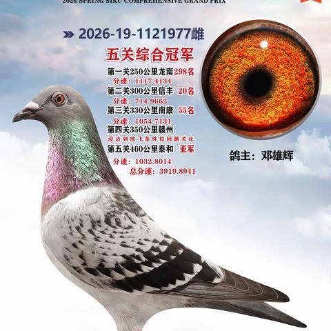 深圳蓝博赛鸽俱乐部2026年秋季获奖鸽64羽