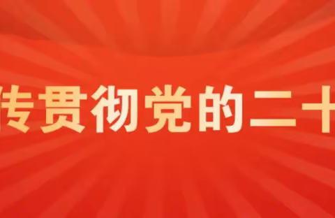 “携手京津冀  共创高质量”下东营小学与北京朝阳区润丰学校等五所学校云端交流会