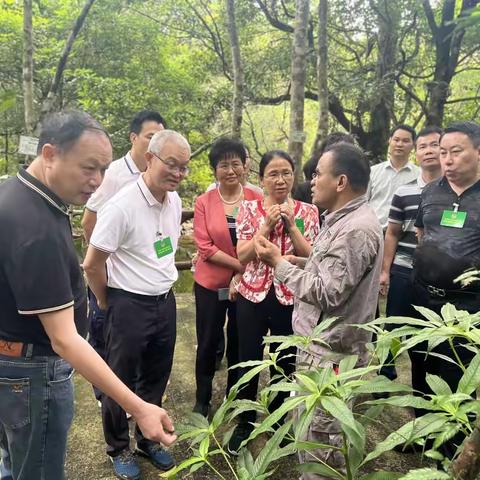 海南省政协到陵水县开展视察活动