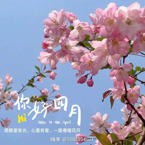 新星幼儿园小班“春日之约，幸福同行”亲子趣味运动会暨传承“红色基因，专注幼儿国防”主题活动