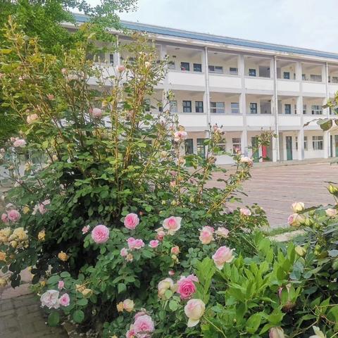 草桥镇古墩小学2022年招生简章