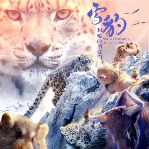 光影育人《雪豹和他的朋友们》——博才阳光实验小学2111第四小队实践活动