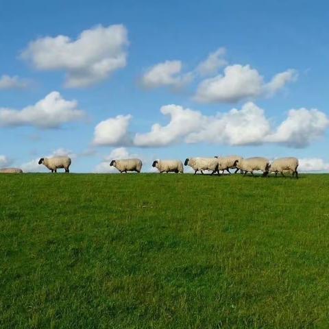 “凝心聚力燃激情，趣味运动展风采”——宁远县泠南学校2023年教师趣味运动会剪影